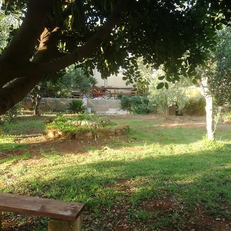 Appartement Aquilone à Castelluzzo Extérieur photo